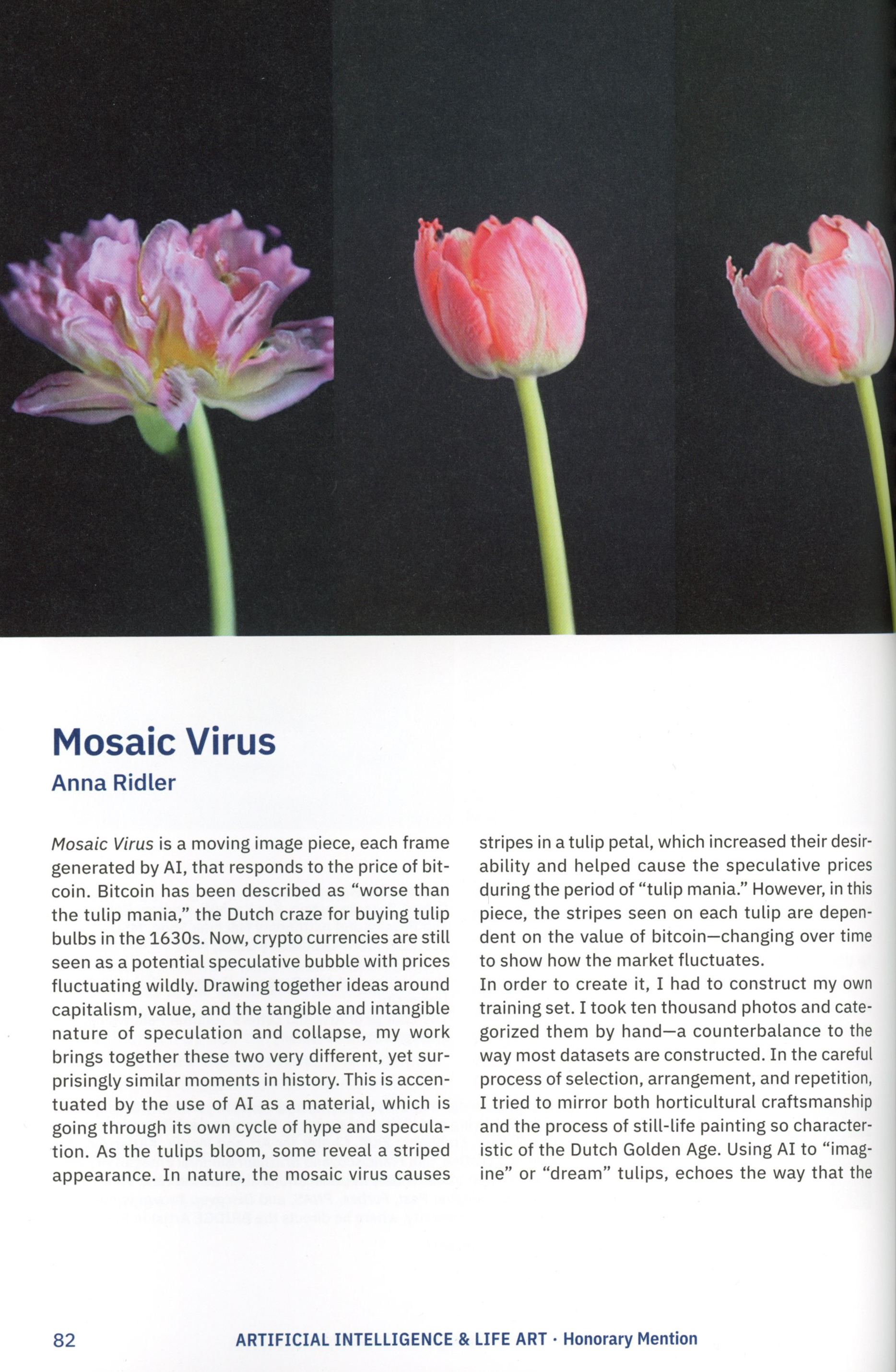 Mosaic Virus 2019 (2019) | Anna Ridler