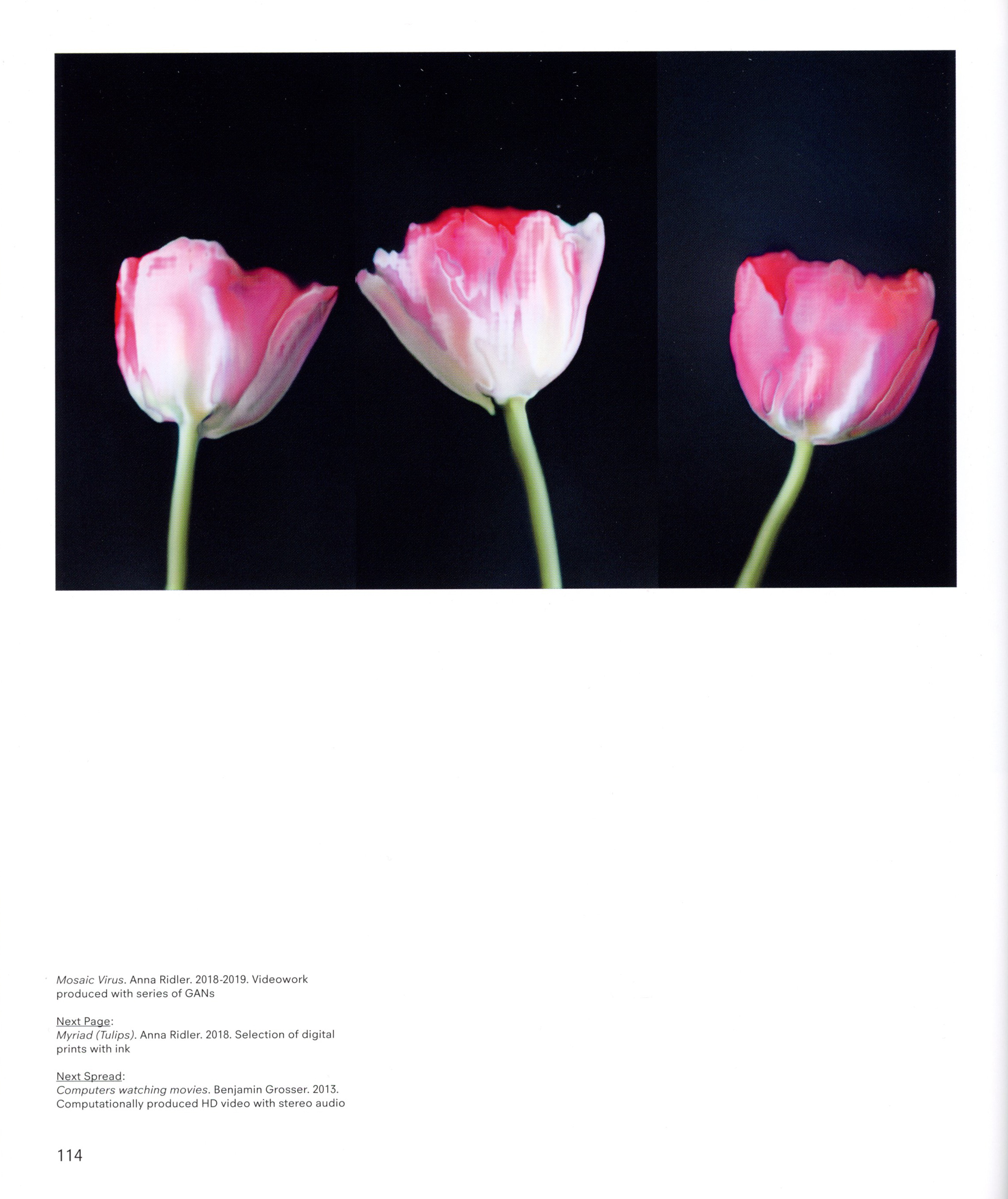 tulip様♡専用ページ Myriad (Tulips) (2018) | Anna Ridler