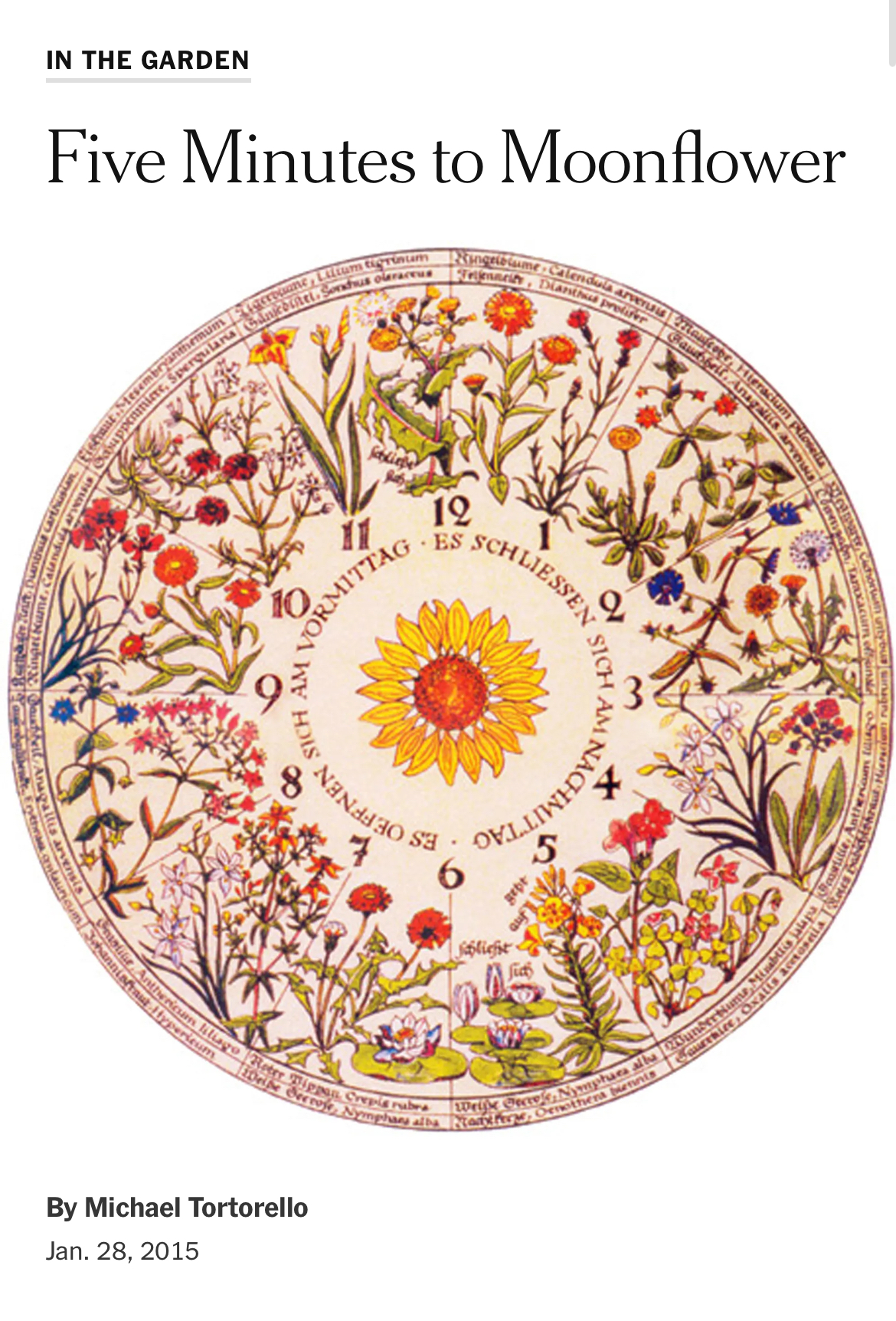 Michael Tortorello, 28 Jan 2015