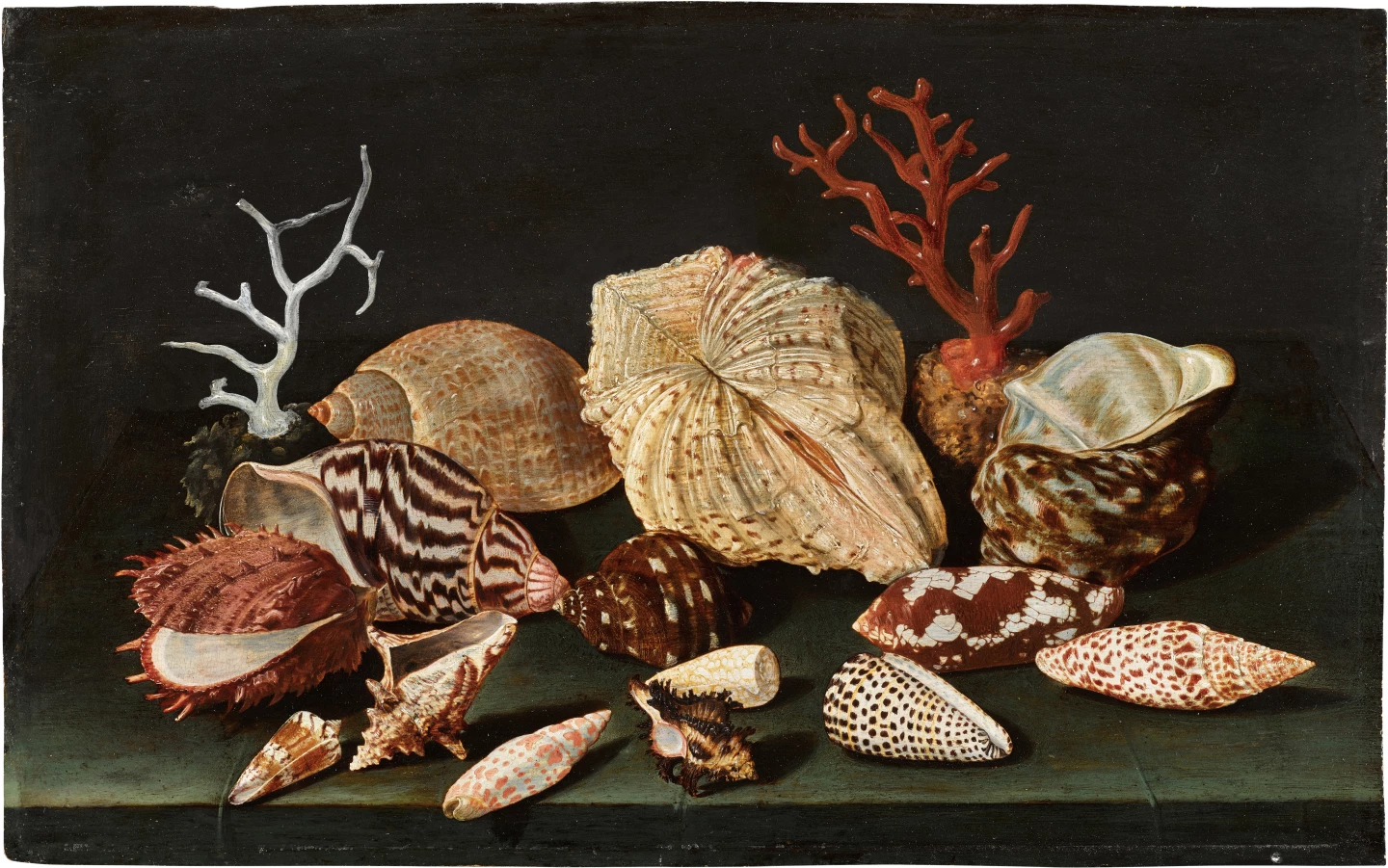 Still-life of Shells and Coral on a Table Top by Jacques Linard, c. 1640