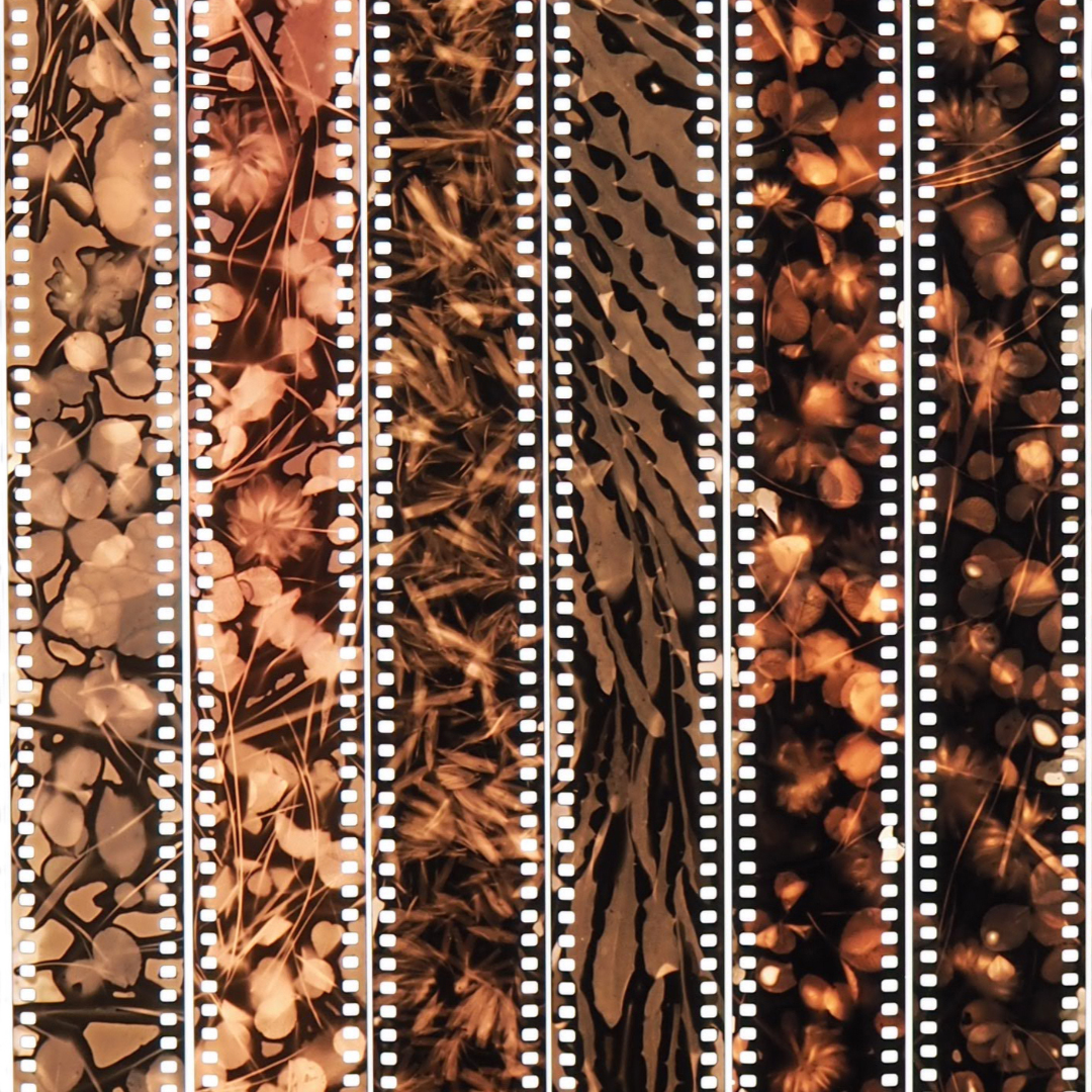 Karel Doing, Abundance, 2023